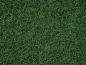 Preview: Noch 50200  Moorboden-Gras 2,5 mm 100g Beutel