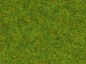 Preview: Noch 50210  Frühlingswiesen-Gras 2,5 mm 100g Beutel