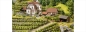 Preview: Noch 63712  L-C N Weingut Hauser-Bühler