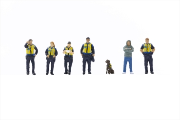 Fallier 190786 SBB Transportpolizei Ep VI