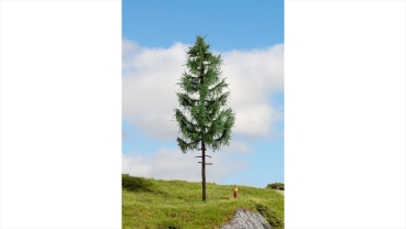 NOCH 20197 Hochstammfichte, 23 cm hoch