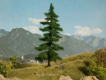 Noch 21812  Nordmanntanne 18,5 cm hoch