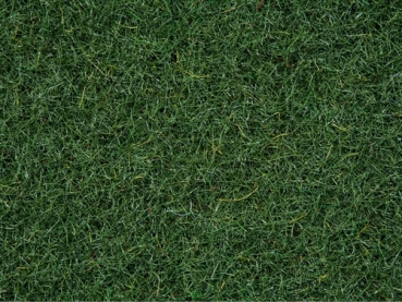 Noch 50200  Moorboden-Gras 2,5 mm 100g Beutel