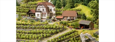 Noch 63712  L-C N Weingut Hauser-Bühler