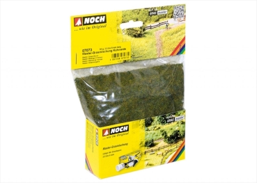 Noch 7073  Grasmischung Kuhweide  50g Beutel