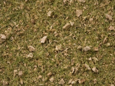 Noch 7075  Grasmischung Almwiese 50g Beutel