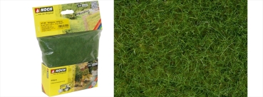 Noch 7102  Wildgras hellgrün 50g Beutel