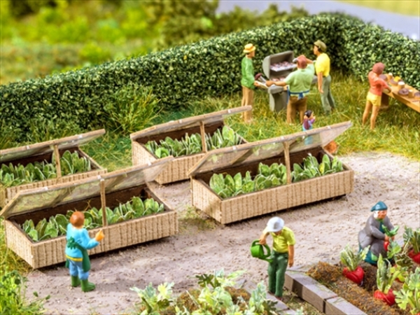 Noch 14025  Frühbeete mit Salat