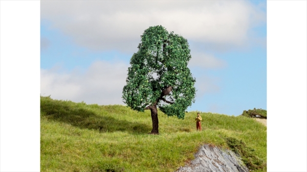 NOCH 20111 Eiche, 10 cm hoch