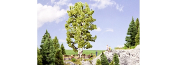 Noch 21641  Doppelstämmige Birke, 19 cm hoch