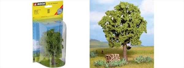 Noch 21690  Hainbuche 13 cm