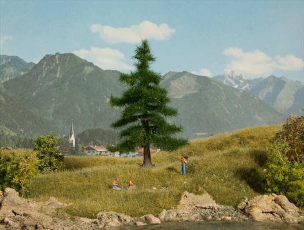 Noch 21810  Nordmanntanne 12 cm hoch