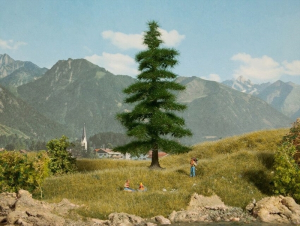 Noch 21811  Nordmanntanne 14,5 cm hoch