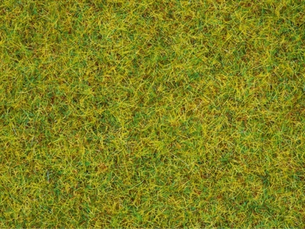 Noch 50190  Sommerwiesen-Gras 2,5 mm 100g Beutel