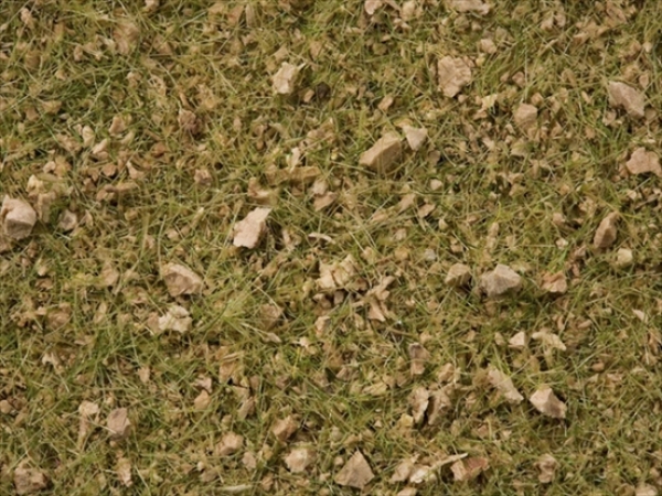 Noch 7075  Grasmischung Almwiese 50g Beutel