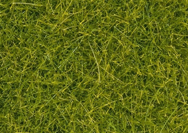 Noch 8363  Streugras, hellgrün, 4 mm, 20g