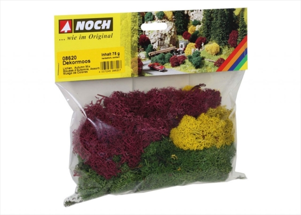 Noch 8620  Moos Herbst sortiert, Grosspackung