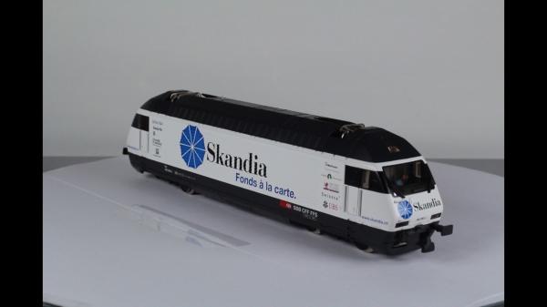 Hag 281-8 Re 460 E-Lok Skandia DC analog