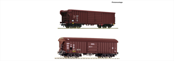 Roco 76020  2er Set Güterwag. DB/SBB      