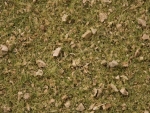Noch 7075  Grasmischung Almwiese 50g Beutel